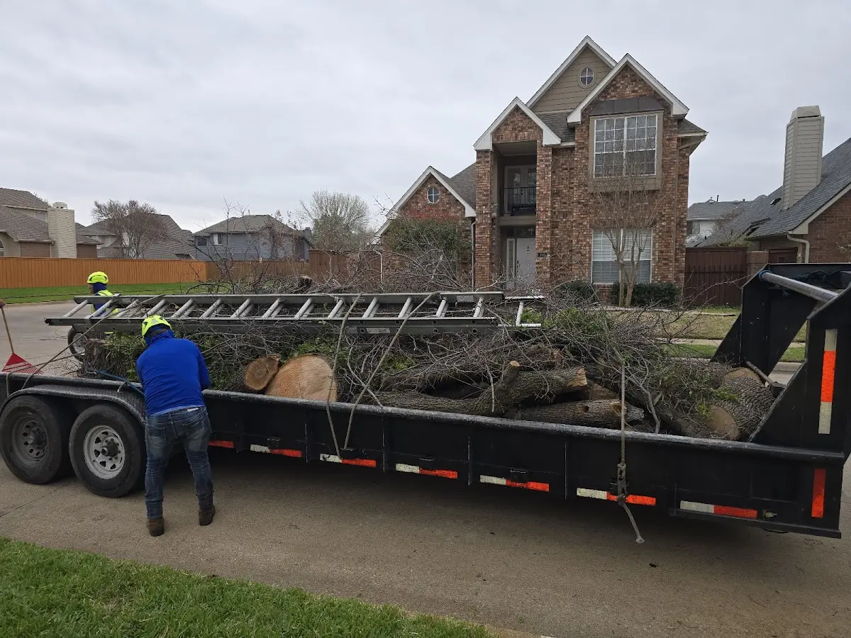 Expert Tree Fertilization with proper safety equipment in Hungerford